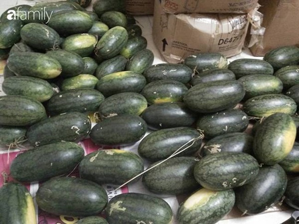 5 kinh nghiệm chọn mua dưa hấu không cần vỗ bồm bộp&nbsp;vẫn chọn được quả vỏ mỏng, ngọt lịm-3