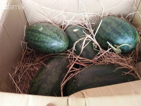 5 kinh nghiệm chọn mua dưa hấu không cần vỗ bồm bộp&nbsp;vẫn chọn được quả vỏ mỏng, ngọt lịm-4