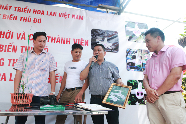 Choáng những giỏ hoa lan đột biến hiếm thấy ở Hà Nội, giá hàng trăm triệu-1