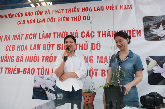 Choáng những giỏ hoa lan đột biến hiếm thấy ở Hà Nội, giá hàng trăm triệu-12