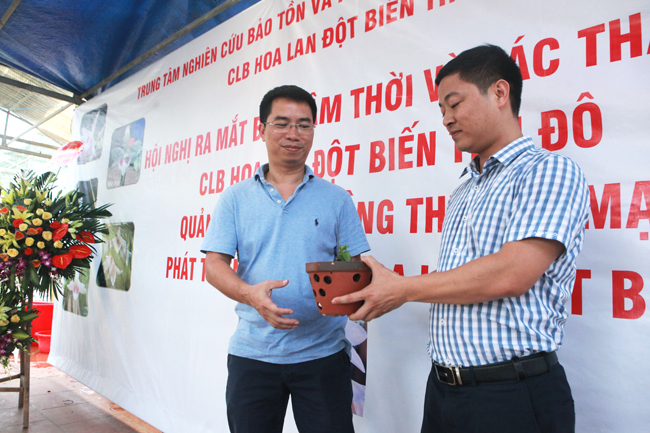 Choáng những giỏ hoa lan đột biến hiếm thấy ở Hà Nội, giá hàng trăm triệu-7