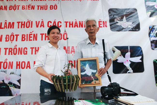 Choáng những giỏ hoa lan đột biến hiếm thấy ở Hà Nội, giá hàng trăm triệu-14