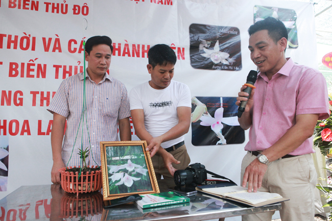 Choáng những giỏ hoa lan đột biến hiếm thấy ở Hà Nội, giá hàng trăm triệu-15