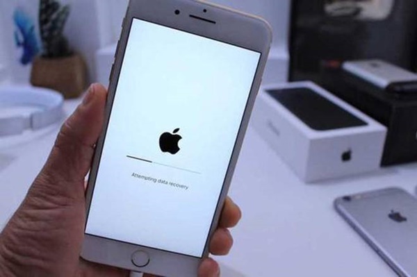 3 cách khôi phục dữ liệu đã xóa trên iPhone, iPad-1