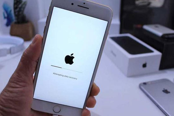 Doanh số iPhone giảm 77% do Covid-19-2