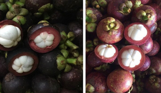 Măng cụt Thái Lan ngập chợ, người Việt ăn mà không biết-2