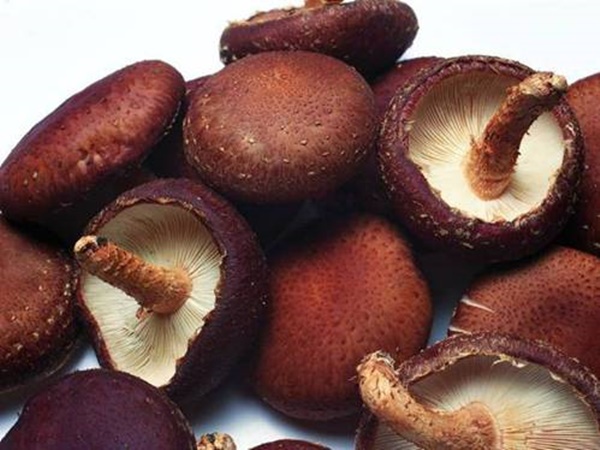 Khi chọn nấm hương tươi, thấy 5 dấu hiệu này tốt nhất đừng mua-1