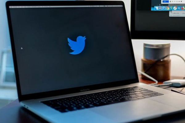 Lộ diện nhân vật chống lưng cho Elon Musk, giúp ông chủ Tesla tự tin mở cửa lại nhà máy giữa đại dịch-5