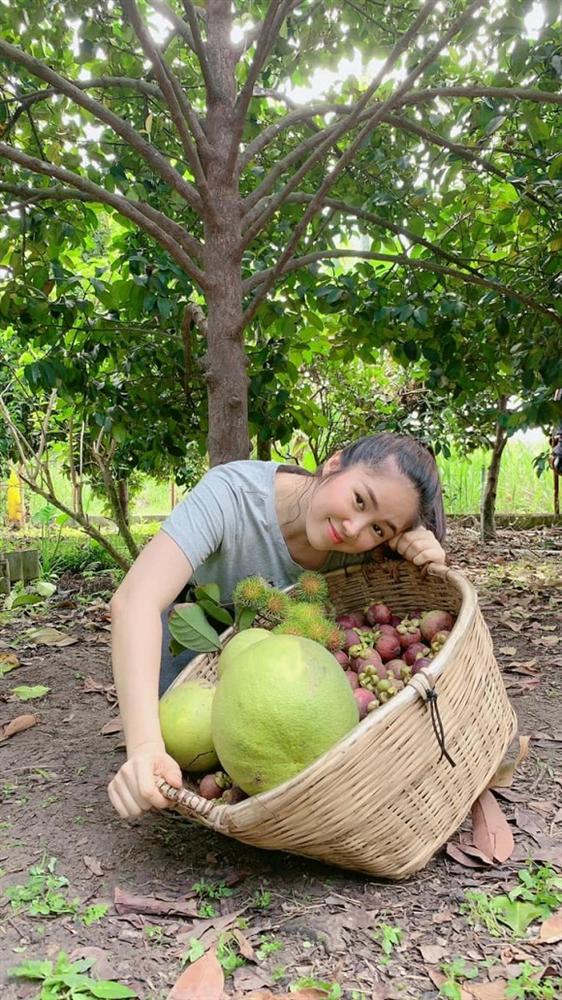 Lê Phương cùng chồng con thu hoạch trái cây nặng trĩu tại trang trại riêng-3
