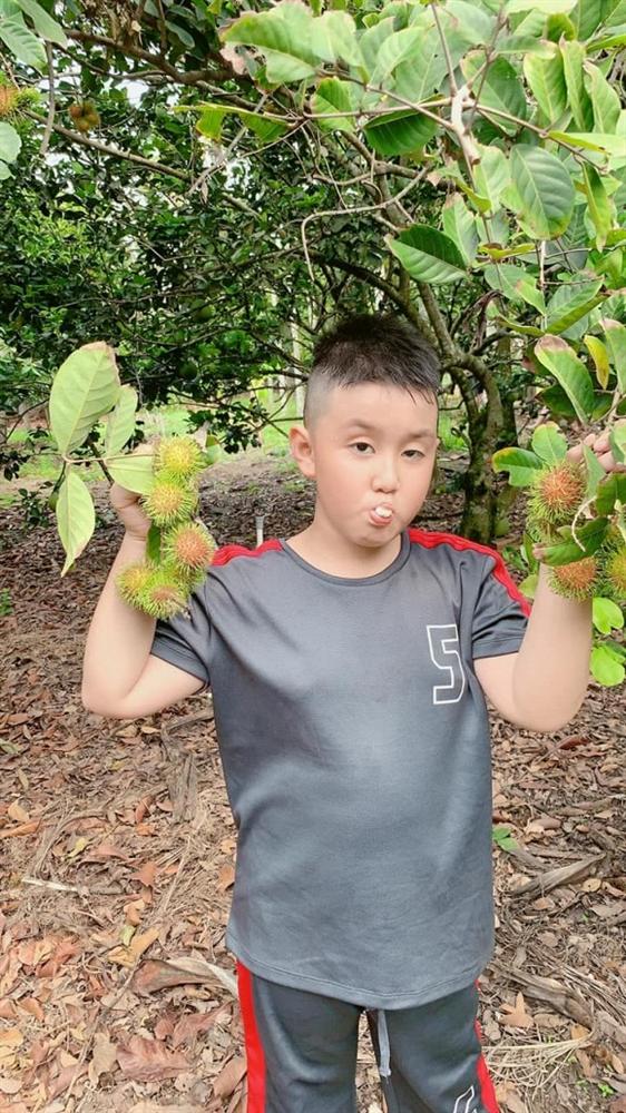 Lê Phương cùng chồng con thu hoạch trái cây nặng trĩu tại trang trại riêng-7