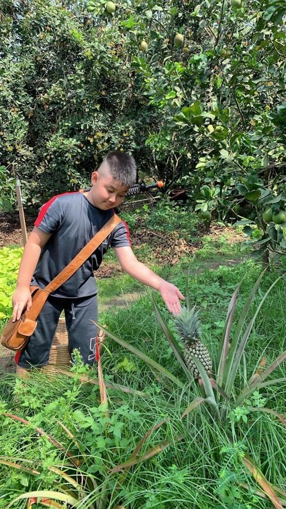 Lê Phương cùng chồng con thu hoạch trái cây nặng trĩu tại trang trại riêng-10