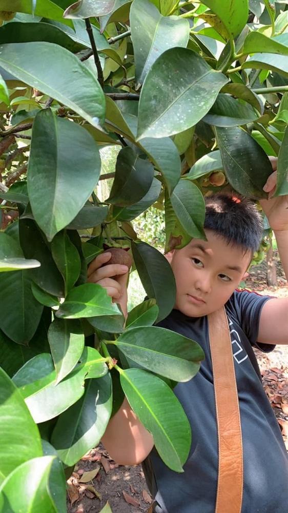 Lê Phương cùng chồng con thu hoạch trái cây nặng trĩu tại trang trại riêng-11