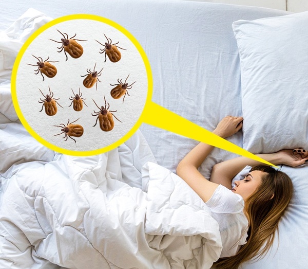 6 thói quen sai lầm bạn nên thay đổi ngay kẻo ôm bệnh vào người-4