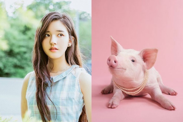 3 con giáp vượng phu, ai lấy được như rước quý nhân vào nhà, tiền tài tự nhiên ùa đến-1