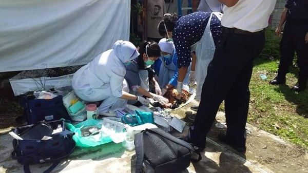 Thấy em bé mới sinh nằm dưới đất, người dân tưởng đứa trẻ bị bỏ rơi nhưng kiểm tra kỹ hơn mới biết bé bị ném từ tầng 3-1