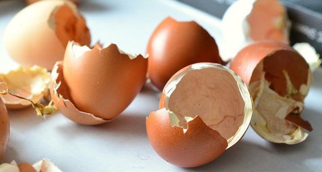 Biết được 5 công dụng này của vỏ trứng bạn sẽ không nỡ vứt đi-1