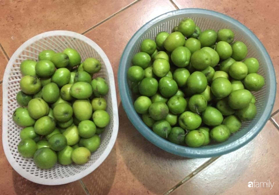 Mẹ đảm mát tay trồng đủ loại cây trái tốt tươi trên sân thượng ở Hà Nội-12