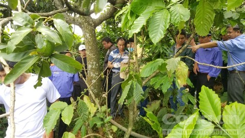 Truy tố người đàn bà giết 3 bà cháu dã man ở Lâm Đồng-3