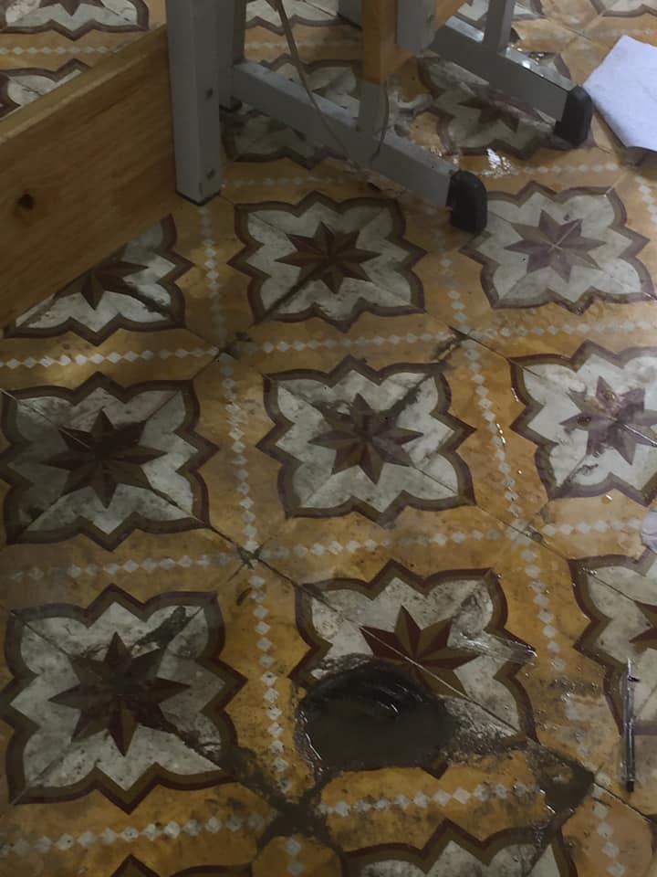 Sáng đi học, sững sờ phát hiện... cá bơi trên sàn, bức ảnh thu hút hơn 57 ngàn lượt like-1