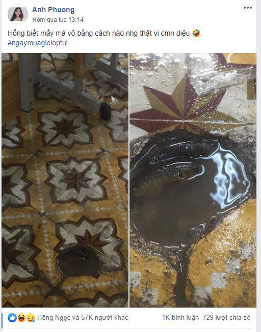 Sáng đi học, sững sờ phát hiện... cá bơi trên sàn, bức ảnh thu hút hơn 57 ngàn lượt like-3