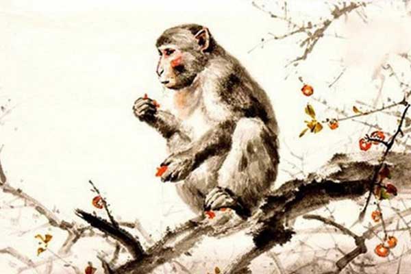 4 kiểu tướng mặt ‘hau háu’ tìm khuyết điểm của bạn để bóc mẽ-3