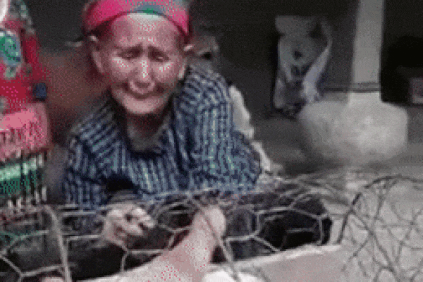 Cụ bà U90 ngồi hát karaoke khiến ai cũng phải sốc vì chất giọng quá cao và khỏe-1