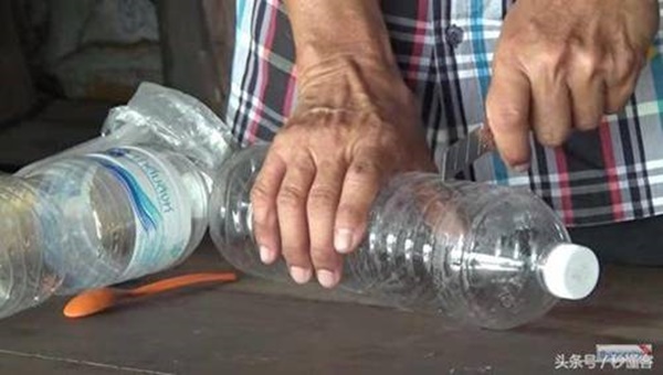 Người Thái diệt trăm con gián chỉ với một chai nhựa, cả thế giới nhìn muốn học theo-1