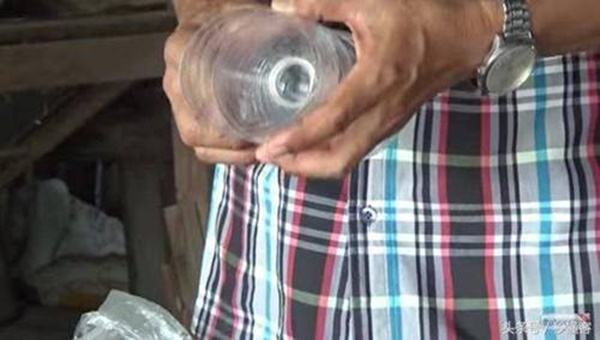 Người Thái diệt trăm con gián chỉ với một chai nhựa, cả thế giới nhìn muốn học theo-2