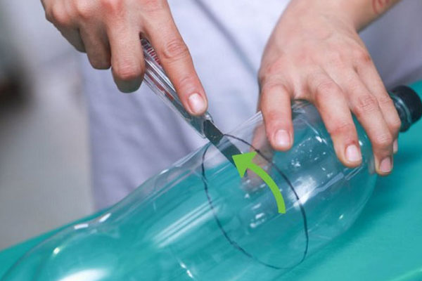 Sờ vào râu mực 3 giây biết ngay mực tươi hay chết lâu, giúp bạn chọn được mực ngon hoàn hảo-3