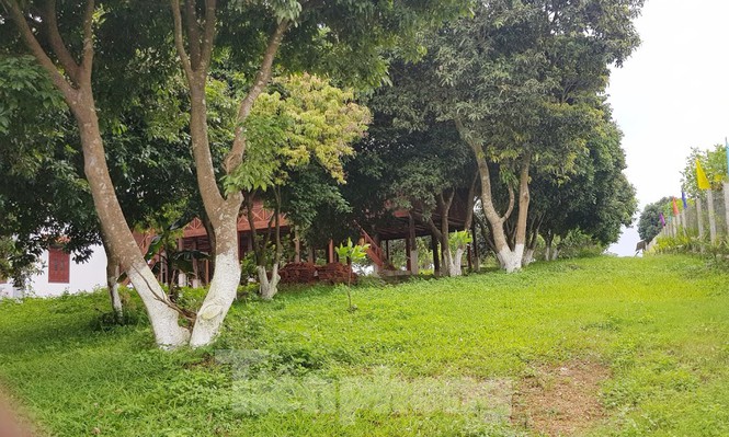 Cận cảnh biệt thự, nhà vườn trái phép mọc trên đồi ở Ba Vì-12
