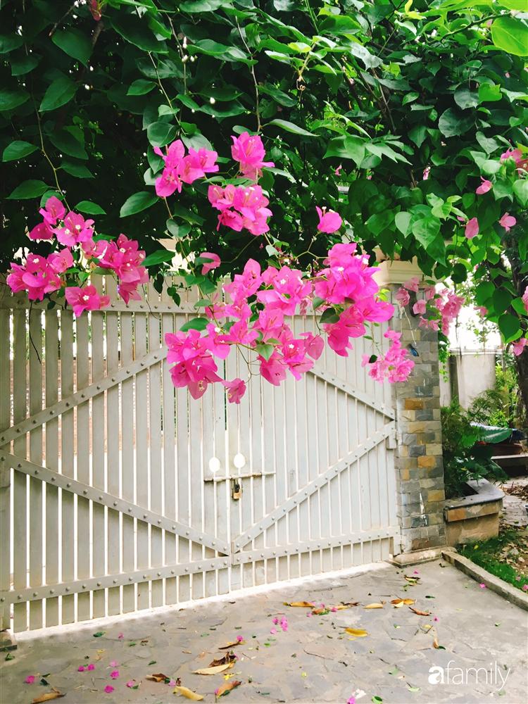 Vườn cây và hoa rực rỡ níu những bình yên ở ngoại ô Hà Nội giúp gia đình trẻ tránh xa ồn ào của phố thị-2