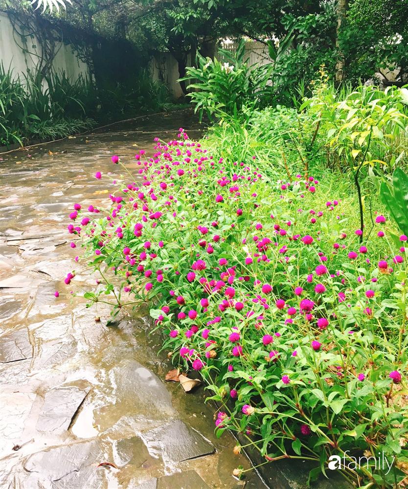 Vườn cây và hoa rực rỡ níu những bình yên ở ngoại ô Hà Nội giúp gia đình trẻ tránh xa ồn ào của phố thị-6