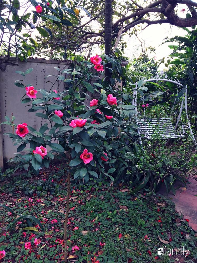 Vườn cây và hoa rực rỡ níu những bình yên ở ngoại ô Hà Nội giúp gia đình trẻ tránh xa ồn ào của phố thị-14