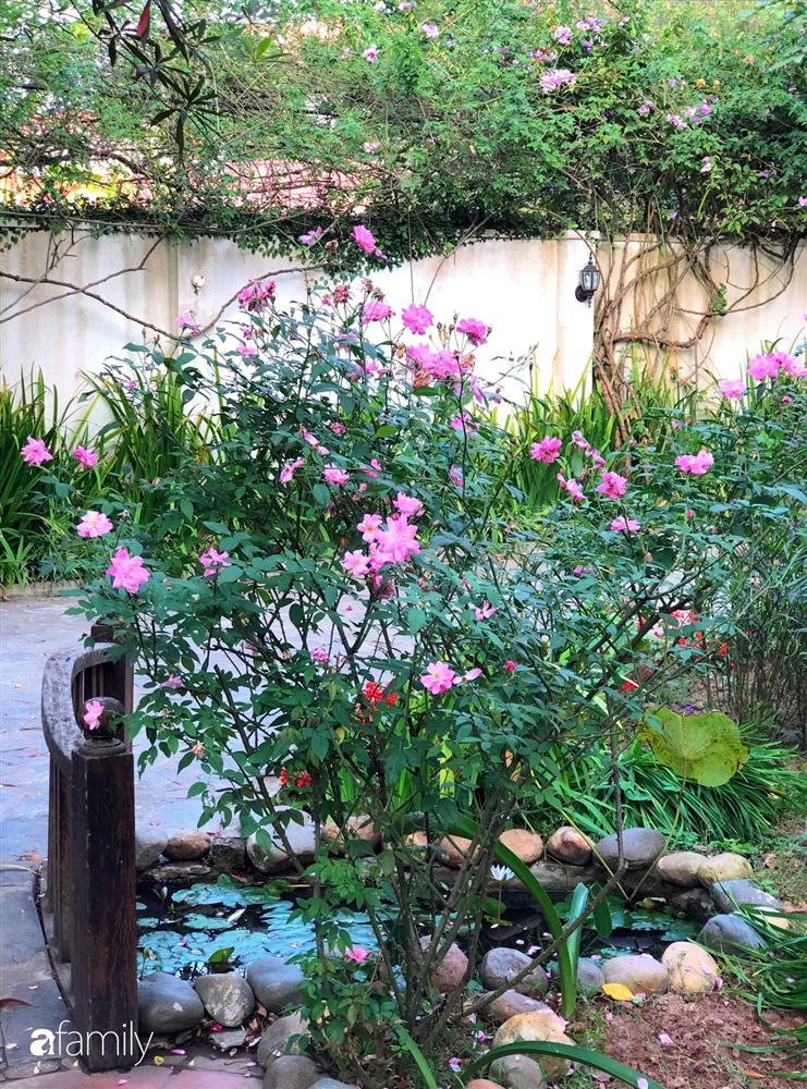 Vườn cây và hoa rực rỡ níu những bình yên ở ngoại ô Hà Nội giúp gia đình trẻ tránh xa ồn ào của phố thị-15