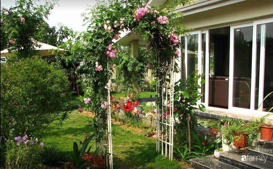 Vườn cây và hoa rực rỡ níu những bình yên ở ngoại ô Hà Nội giúp gia đình trẻ tránh xa ồn ào của phố thị-22