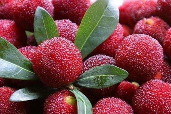 Thanh mai Trung Quốc bán đầy vỉa hè Hà Nội: Tiểu thương tiết lộ bất ngờ-5