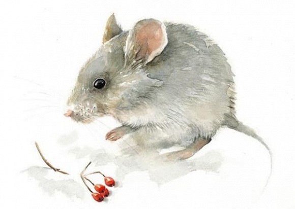 Cuối tháng 5, 3 con giáp phúc đức nồng hậu, sự nghiệp đột phá kéo theo tiền bạc dồi dào, hạnh phúc viên mãn-1