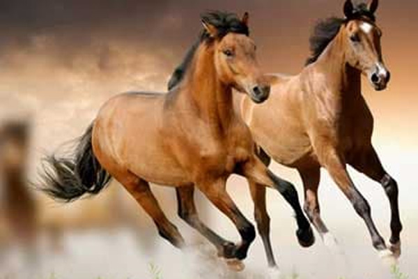 Tổng quan tuần mới cho 12 cung Hoàng đạo trong tuần mới 18/5 - 24/5: Kim Ngưu chủ động trong công việc, Thiên Bình bị cảm xúc chi phối-3