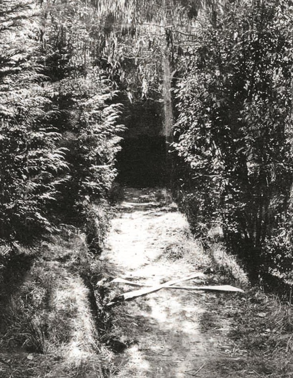 2 nữ sinh lên kế hoạch giết chết mẹ đẻ để được bên nhau, dòng nhật ký của đứa con gái máu lạnh gây ám ảnh đến tận ngày nay-1