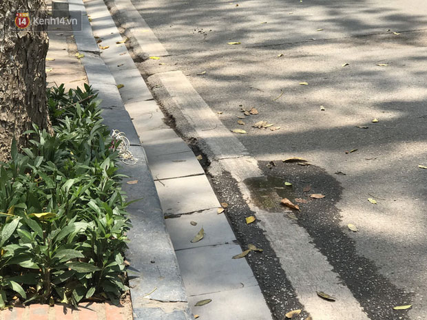 Hà Nội: Cụ bà bán trà đá bị thiếu niên đi xe đạp tông trúng ở phố đi bộ đã tử vong-2