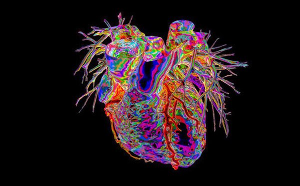 Chuyên gia nói về sự tàn phá của Covid-19 khiến người bệnh đau đớn kinh khủng, tuyệt vọng, hoang mang tột độ-1