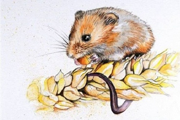 Điểm danh 3 cung Hoàng đạo có cuộc sống trọn vẹn và may mắn nhất trong tuần mới-2