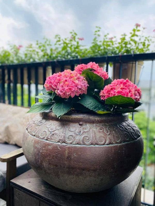 Nữ ca sĩ lấy chồng rút khỏi showbiz, về ngoại thành mua biệt thự trồng hoa, cây cảnh-10