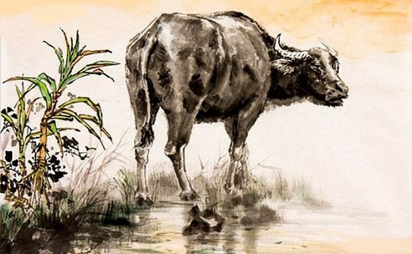 Bước sang tháng 6, 3 con giáp này may mắn ngút trời, phát tài phát lộc, ăn nên làm ra-1