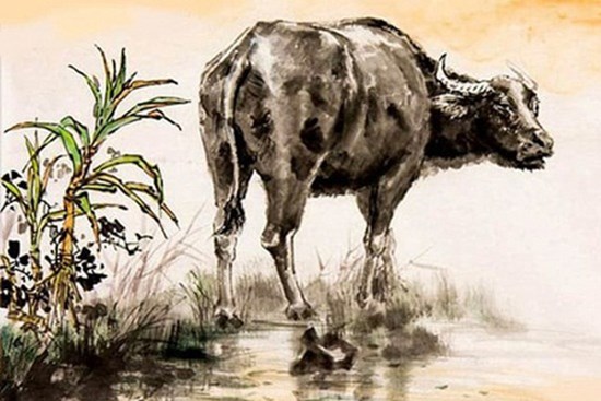 Bước sang tháng 6, 3 con giáp này may mắn ngút trời, phát tài phát lộc, ăn nên làm ra
