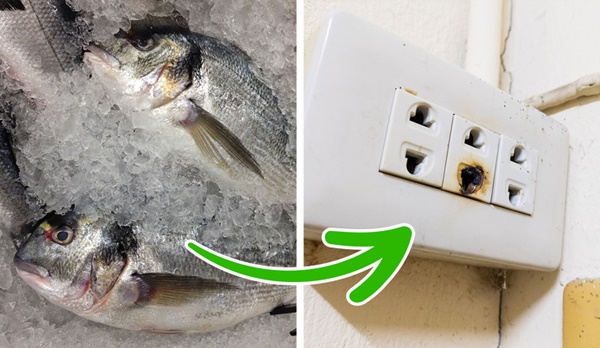 6 lý do khiến nhà có mùi hôi khó chịu và cách khắc phục siêu hiệu quả-2