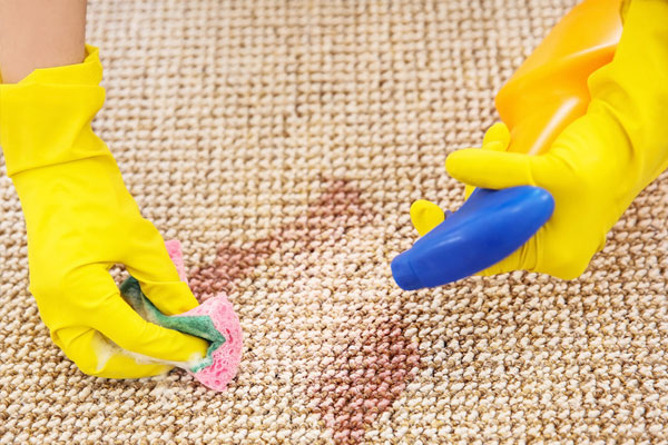 Mách chị em cách trồng 5 loại cây gia vị đặc trưng trong bữa ăn người Việt-6