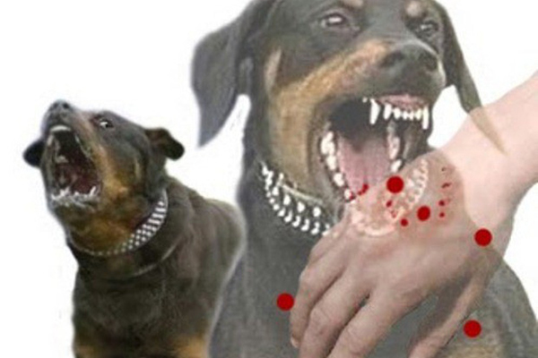 NÓNG: 2 tay 2 dao xông vào trụ sở công an chém 1 cán bộ trọng thương-2