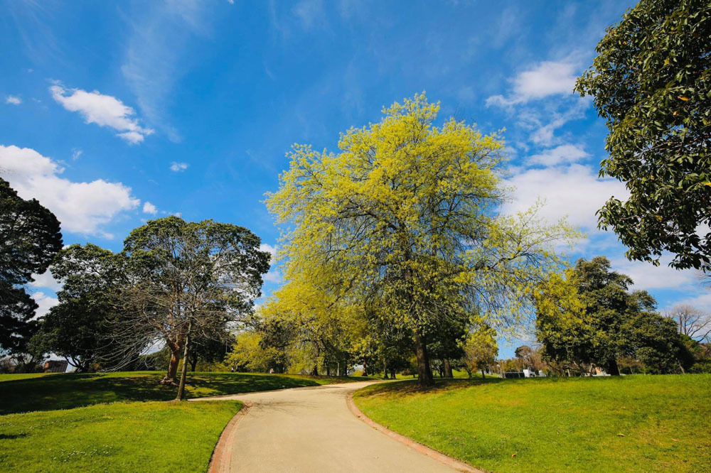 Bố tôi đòi ly hôn để đến với ‘tình yêu đích thực’-1