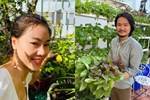 Mẹ đơn thân xinh đẹp nhận trợ cấp 10 tỷ đồng/tháng từ chồng cũ vẫn tự tay trồng rau củ mỗi ngày-24